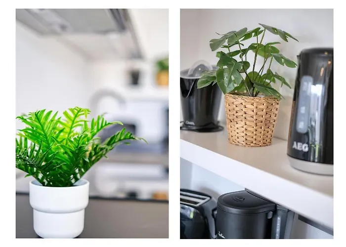 Gold - Duplex - Near The With Air-con By Lanzarote Nyaraló